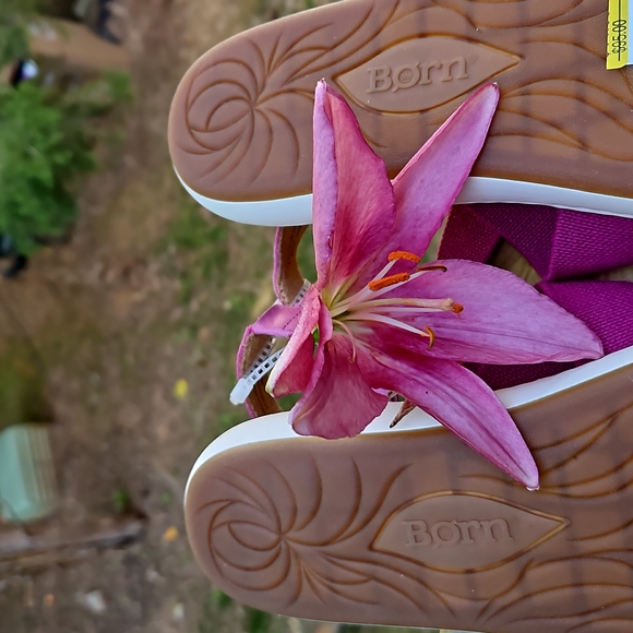 BORN HAND CRAFTED SANDALS SZ 9 NWT - Picture 3 of 5